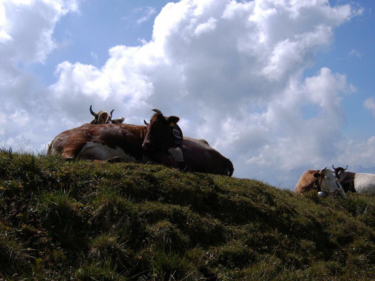 Allgaeu Haus Isny im Allgäu Eksteriør bilde